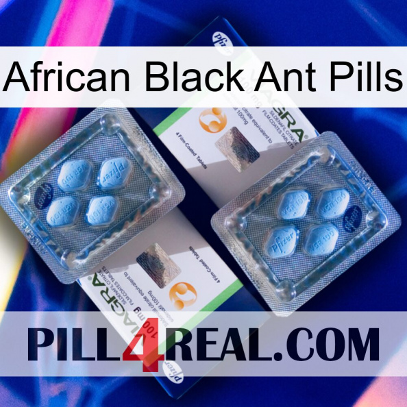 African Black Ant Pills viagra5.jpg